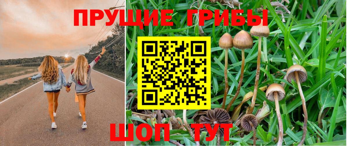 Галлюциногенные грибы мухоморы  Вход с VPN  цена наркотик  Стерлитамак 
