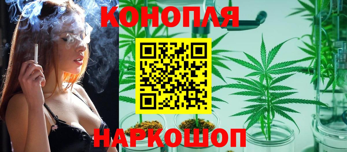 Конопля гибрид Стерлитамак